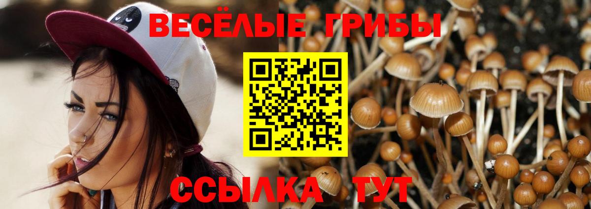 Псилоцибиновые грибы GOLDEN TEACHER Карпинск